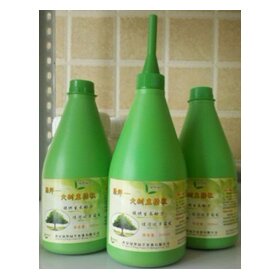 绿坪大树直插瓶